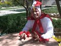 Rooster Suit