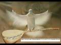 cemal �zta� �lger do�mas�n yaylalar� yaylayamad�m