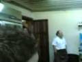 videos de bomba canta en asadito mallorca