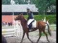 Concours Cheval Bois Portier Marion et Galopin Pin Balma