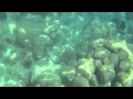 Homemade underwater camera @ andaman sea