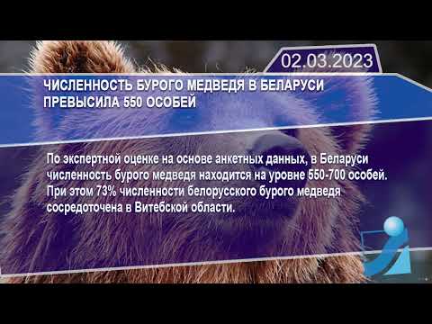 Новостная лента Телеканала Интекс 02.03.23.