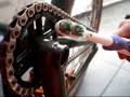 bmx corrente maike