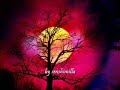 imagenes varias con tema un tema del magnifico bebu silvetti