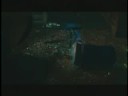 HELLBOY, YES HELBOY, TALKS ABOUT HIS MOVIE,