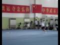 henan wushu team trailer 2007 henan wushu team trailer 2007