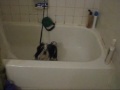 Bath Time Pt I: De-smellifying the Dirty Dog!