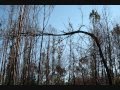 Caminhos de Santiago - Finisterra