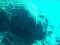 www.turkdivers.com