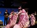 Ballet Policromìa Mexicana, Monterrey / Nuevo Leon