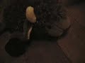 Webkinz games episode 1 part 2 Webkinz games episode 1 part 2