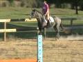 videos de Cole Extending Trot Undersaddle