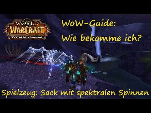 WoW-Guide: Wie bekomme ich das Spielzeug: Sack mit spektralen Spinnen?