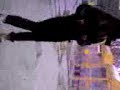 Video003 Video003