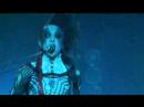 Moi dix Mois Exclude Live