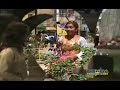 Fresia la Hermosura del Amor - DONDE ANDARAS