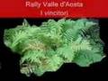 Telegiornale della Valle d'Aosta