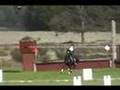 Baiey- Cross country NWEC