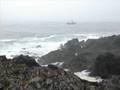 Wild Pacific Trail, Ucluelet, BC - March 2005