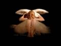 Richard Clayderman - Invisible Love