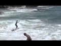 skimming laguna beach
