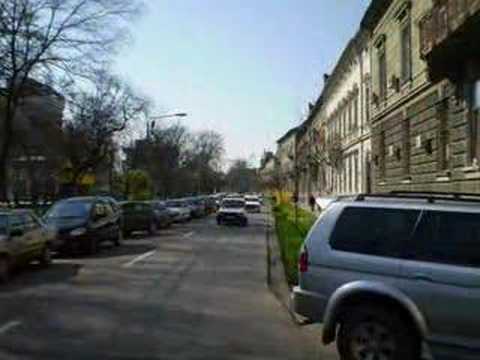 Arad 2008