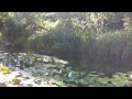Click here to watch this video Jardin Botanique de Strasbourg