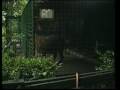 Terdonk: Zoo dégénéré