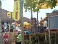 o kiwi da bacutia