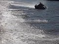 jobe-watersport-bare-foot-movie.html