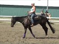 Cheval Huguette Sorel Aout 2008