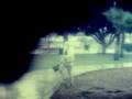 The Horn Song Willowz Anaheim