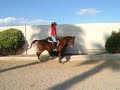 riding bonnie 10/11/08