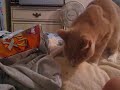 Jake eating