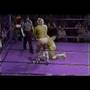 Tommy Angel v Joe Cruze