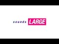 Avicii – levels in reverse