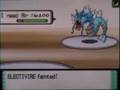 D/P Wi-Fi Battle #4 SuperSkarmory vs. Symphonyx64