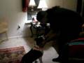 videos de Closing the door