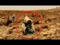 Life On Mars!!! - 2013 NASA Alien Footage