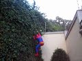 Spider man joke... crash !!!    randy