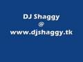 DJ Shaggy Demo Video