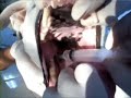 Anestesia del nervio mandibular 2 en el perro Anestesia del nervio mandibular 2 en el perro