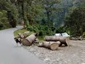 Sikkim trip