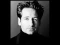 David Duchovny David Duchovny