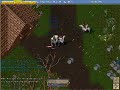 ウルティマ・オンライン動画