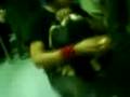 videos de dia de muertos en el metro