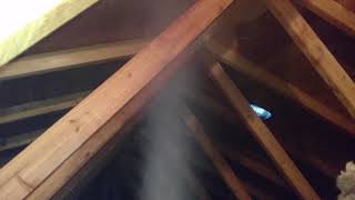 Dry Fog treatment in moldy attic.