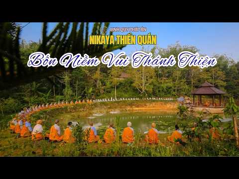 NIKAYA Thiền Quán - Bốn Niềm Vui Thánh Thiện *