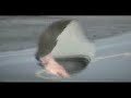 Skateboarding - Longboarding in Alaska - sick speed!