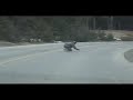 Longboarding in Alaska, bombing hills and some blood too!!!
